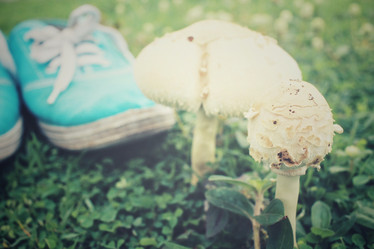 Similar image 8482307