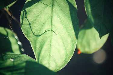 Similar image 8482309