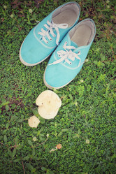 Similar image 8482310