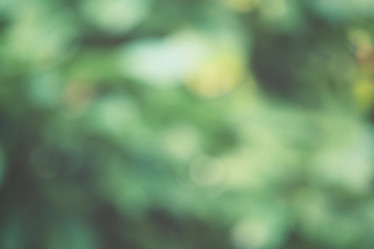 Similar image 8482317