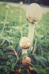 Similar image 8482324