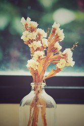 Similar image 8482326