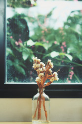 Similar image 8482334