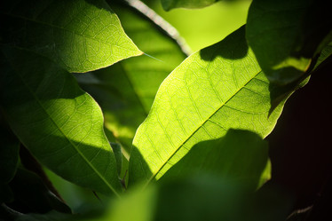 Similar image 8482336