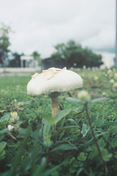 Similar image 8482338