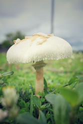 Similar image 8482340