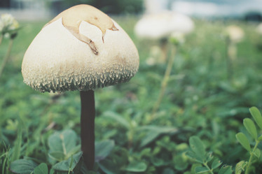 Similar image 8482344