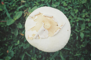 Similar image 8482346