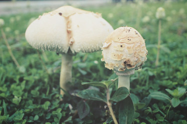 Similar image 8482352