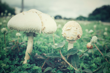 Similar image 8482353