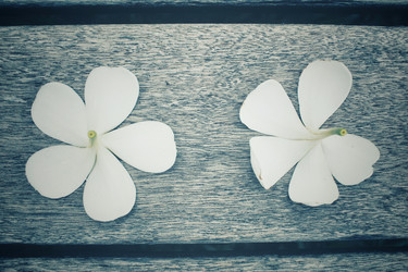 Similar image 8482357