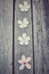 Similar image 8482358