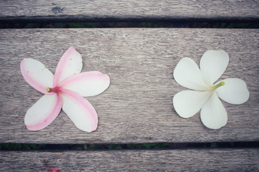 Similar image 8482366