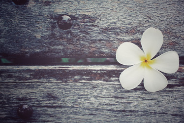 Similar image 8482369