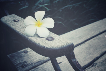 Similar image 8482372