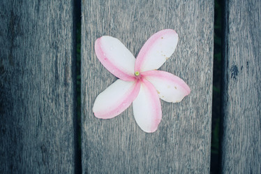 Similar image 8482374