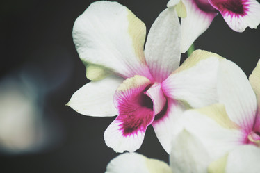 Similar image 8482378