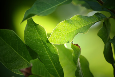 Similar image 8482392