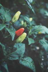 Similar image 8482395