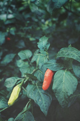 Similar image 8482397