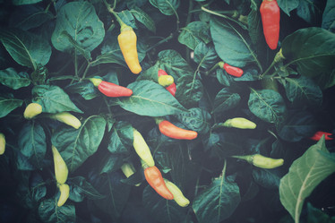 Similar image 8482398