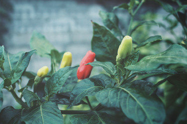 Similar image 8482401