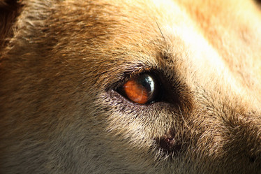 Similar image 8482435