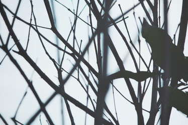 Similar image 8482469