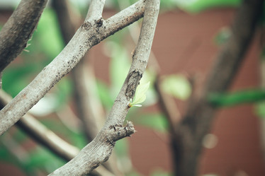 Similar image 8482489