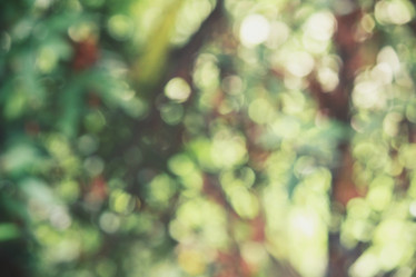 Similar image 8482526