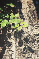 Similar image 8482573