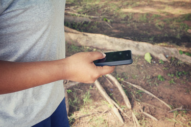 Similar image 8482575