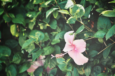 Similar image 8482621