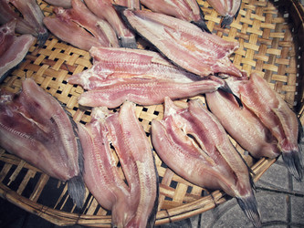 Similar image 8482624