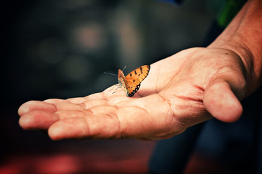 Similar image 8482637