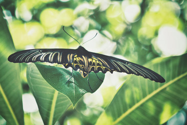 Similar image 8482640