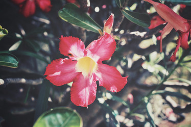 Similar image 8482774