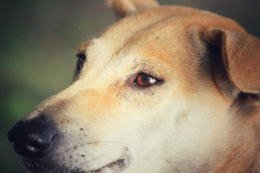 Similar image 8482782