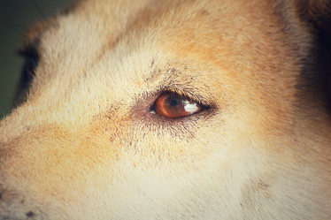 Similar image 8482802