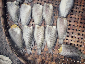 Similar image 8482825