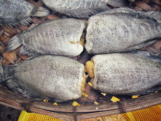 Similar image 8482827