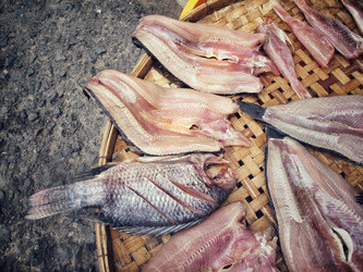 Similar image 8482829