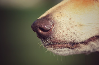 Similar image 8482842