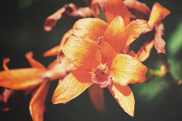 Similar image 8482881