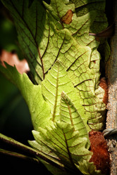 Similar image 8482897