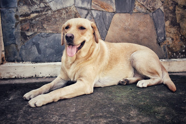 Similar image 8482902