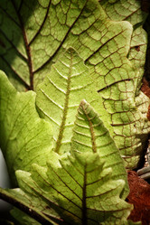 Similar image 8482915