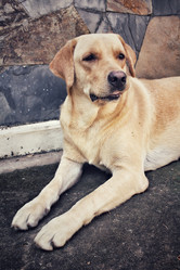 Similar image 8482918