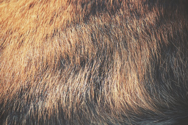 Similar image 8482921