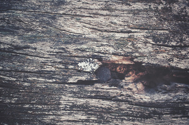 Similar image 8482924